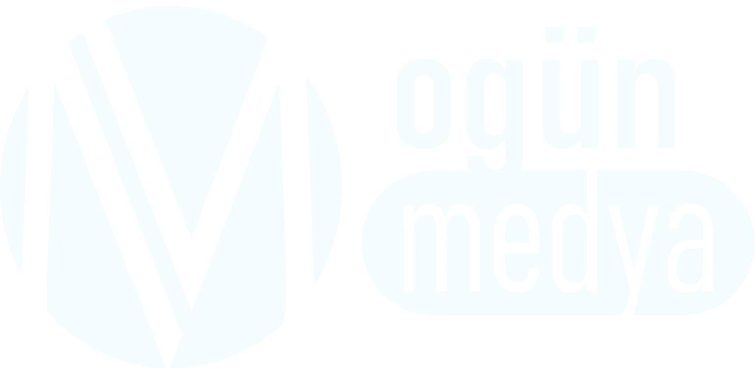 Ogün Medya